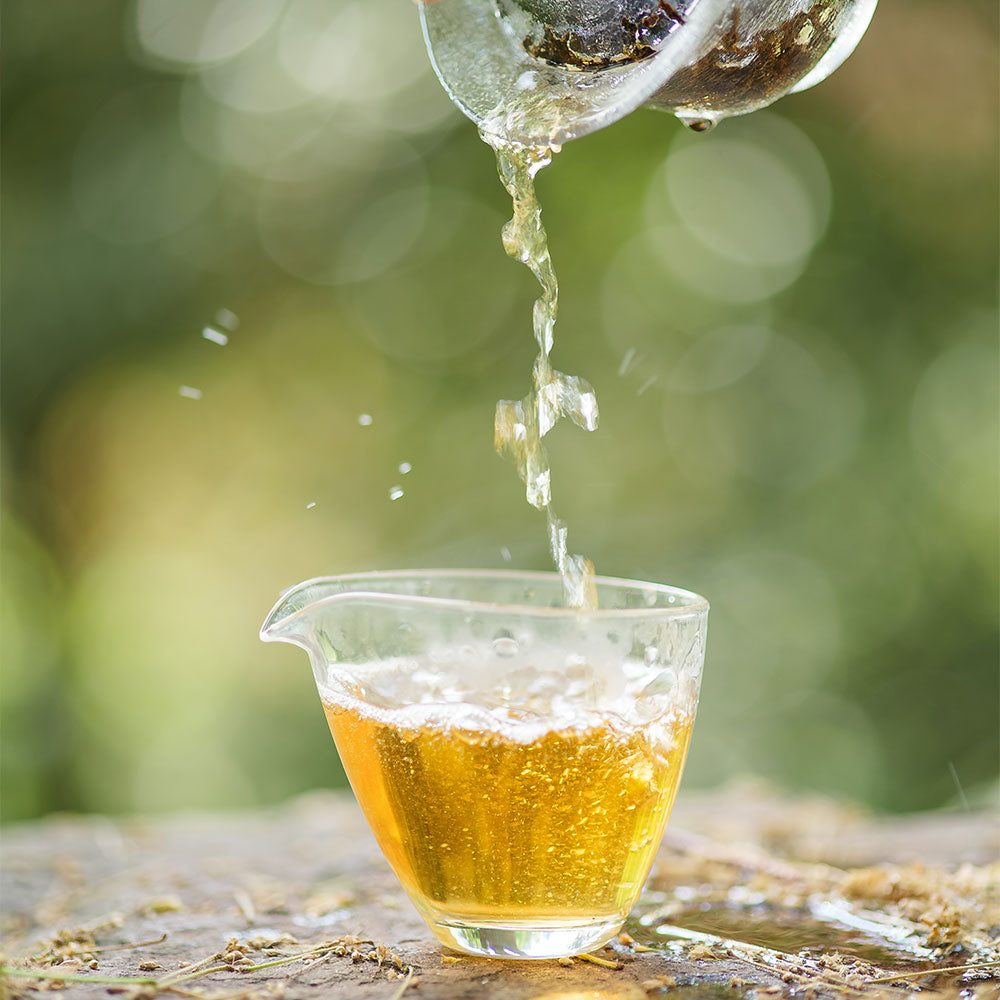 Black Tea Brew Guide