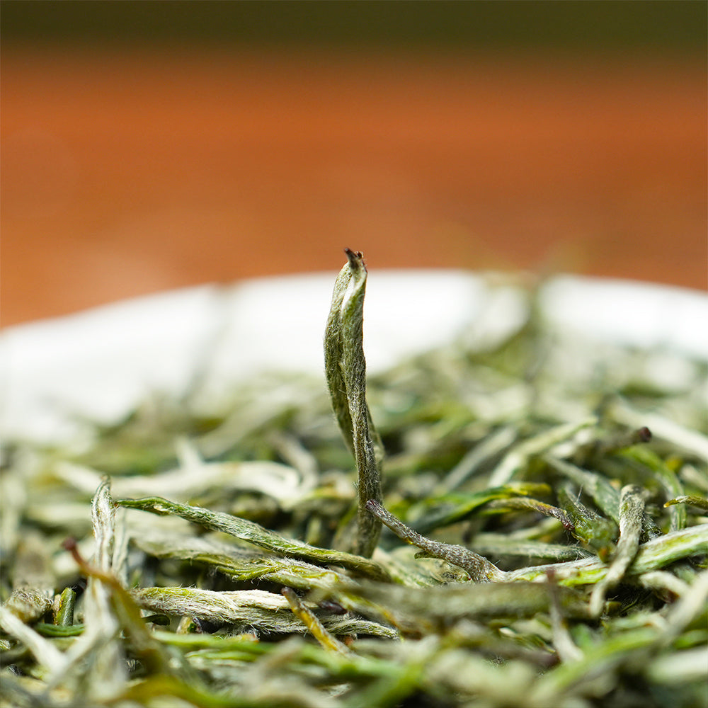 2026 Guzhang Maojian 古丈毛尖 Green Tea 50g Tin[GT09]