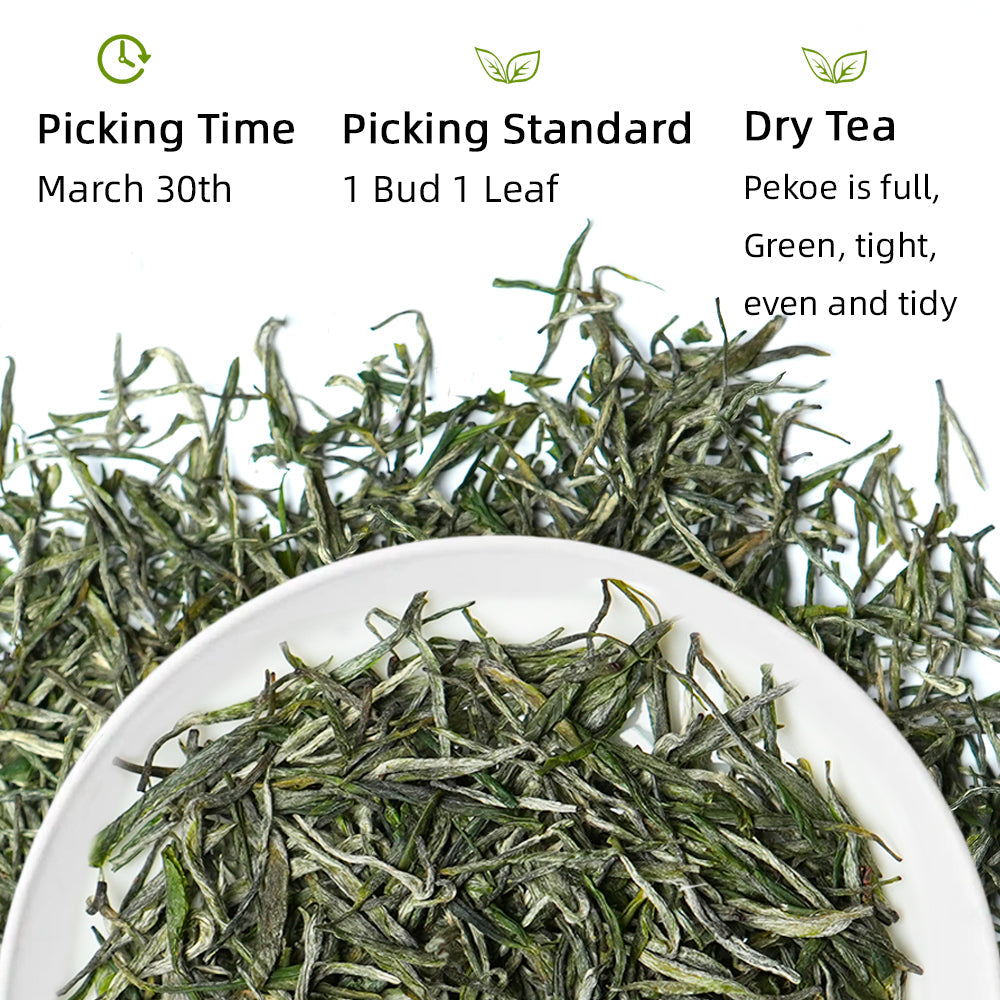 2026 Guzhang Maojian 古丈毛尖 Green Tea 50g Tin[GT09]