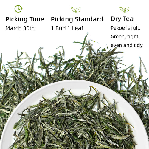 2026 Guzhang Maojian 古丈毛尖 Green Tea 50g Tin[GT09]