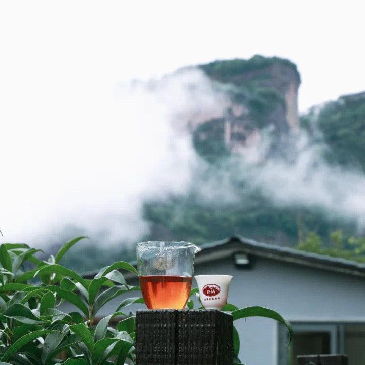 「Yanyu」Three and Two Series・Longevity Wuyi Rock Tea - Lapsangstore