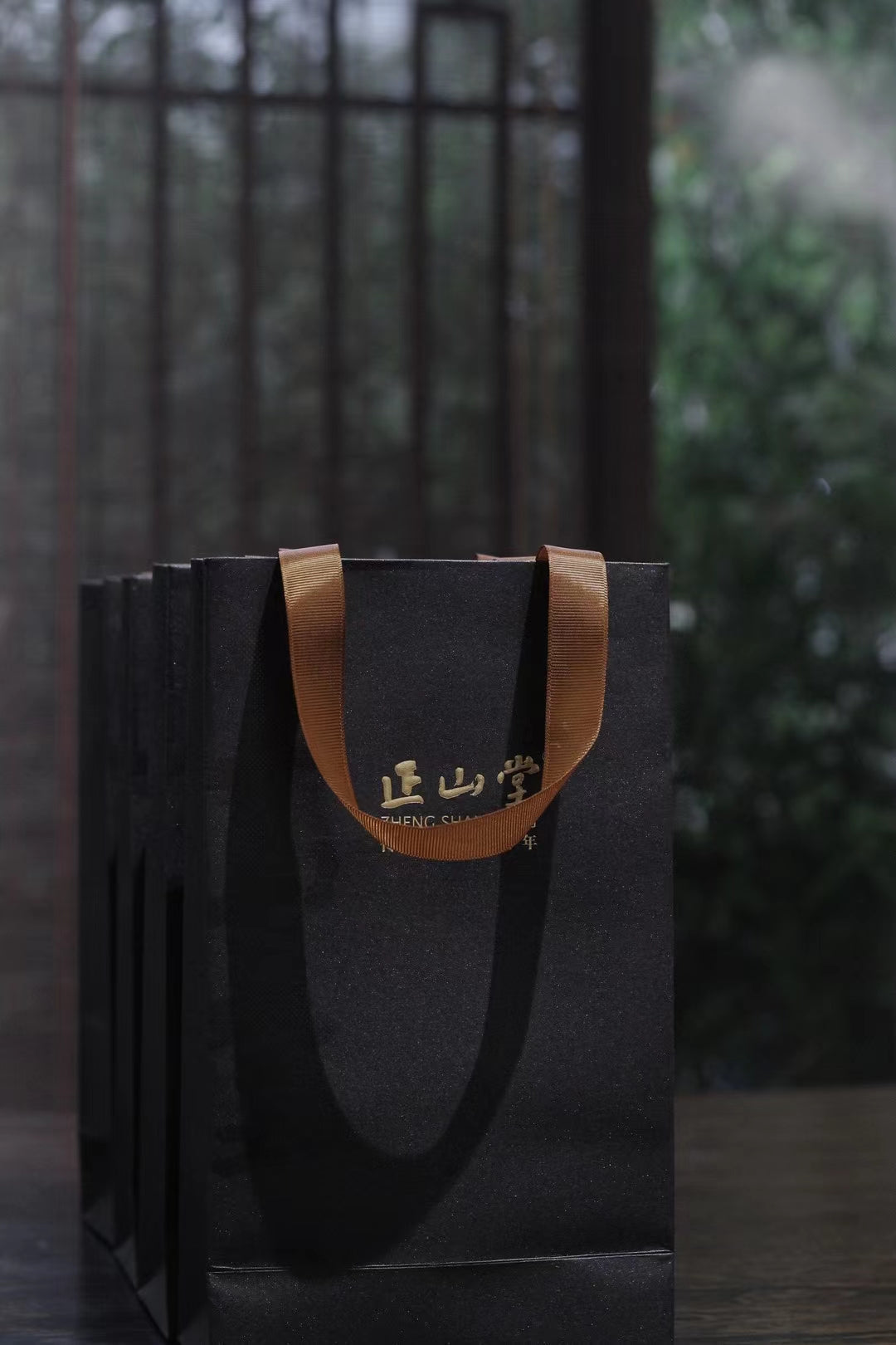 Zhengshantang Handbag-Black