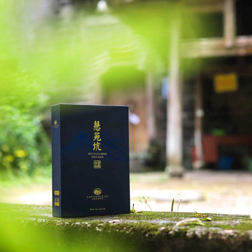 Yanyu Huiyuan Pit Old Cong Narcissus (慧苑坑老枞水仙) Wuyi Rock Tea Sachet