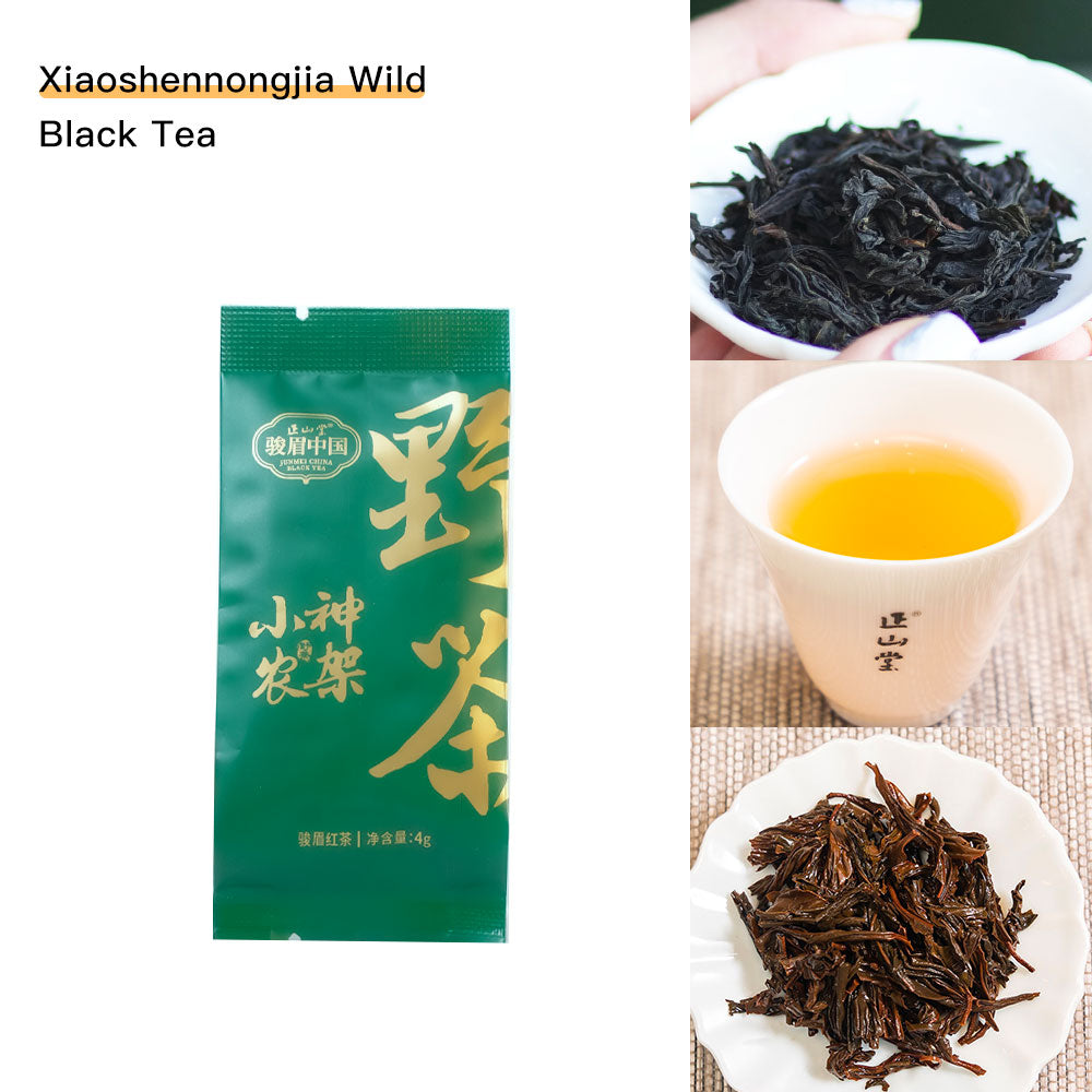 【Tea Sampler B】10 Flavors JunMei China Featured Tea Sachet Standard Collection 38g[SP02]
