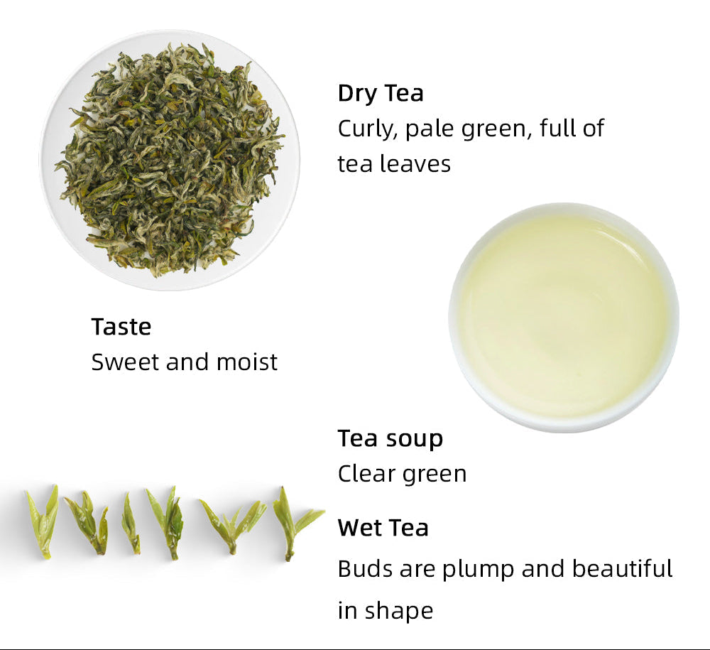 Mengding Ganlu 蒙顶甘露 Green Tea 50g Pouch[GT08]