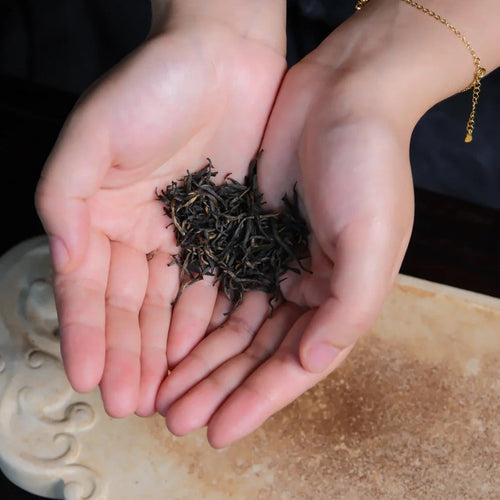 Century-old Bush 百年老枞 Black Tea 3g Sachet[ZST02]