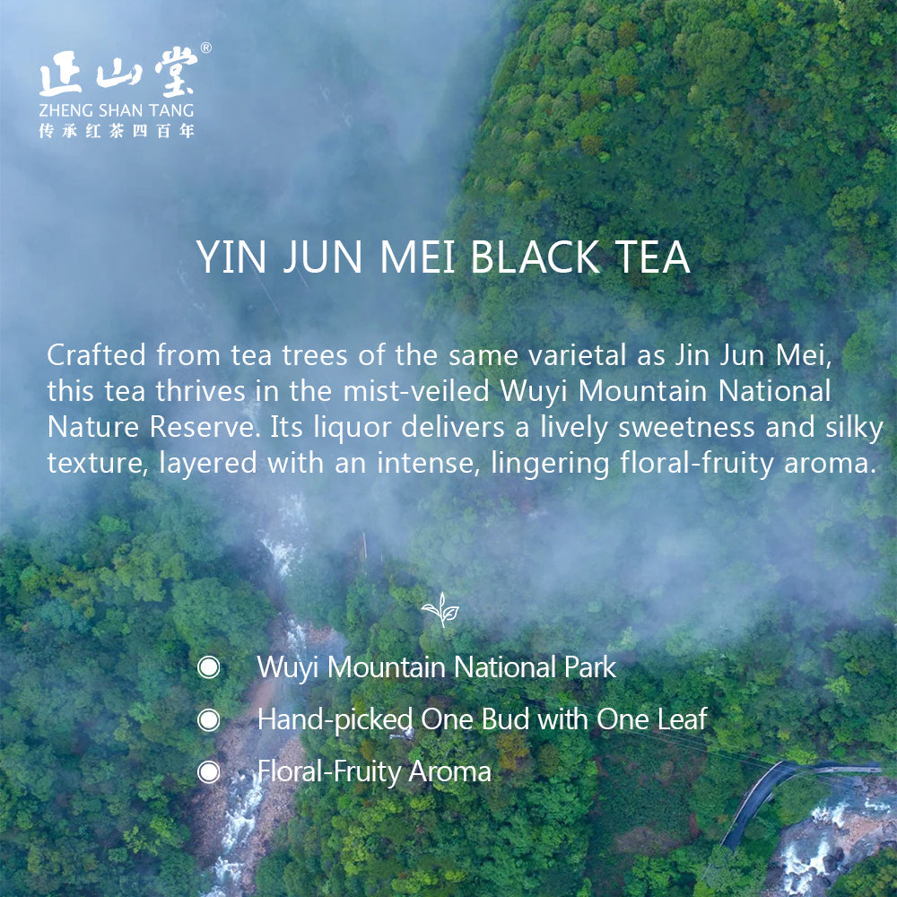 Yin Jun Mei银骏眉 Black Tea 3g Sachet[ZST04]