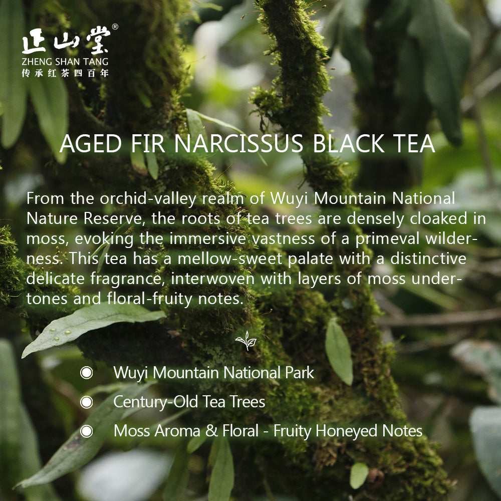 Century-old Bush 百年老枞 Black Tea 3g Sachet[ZST02]
