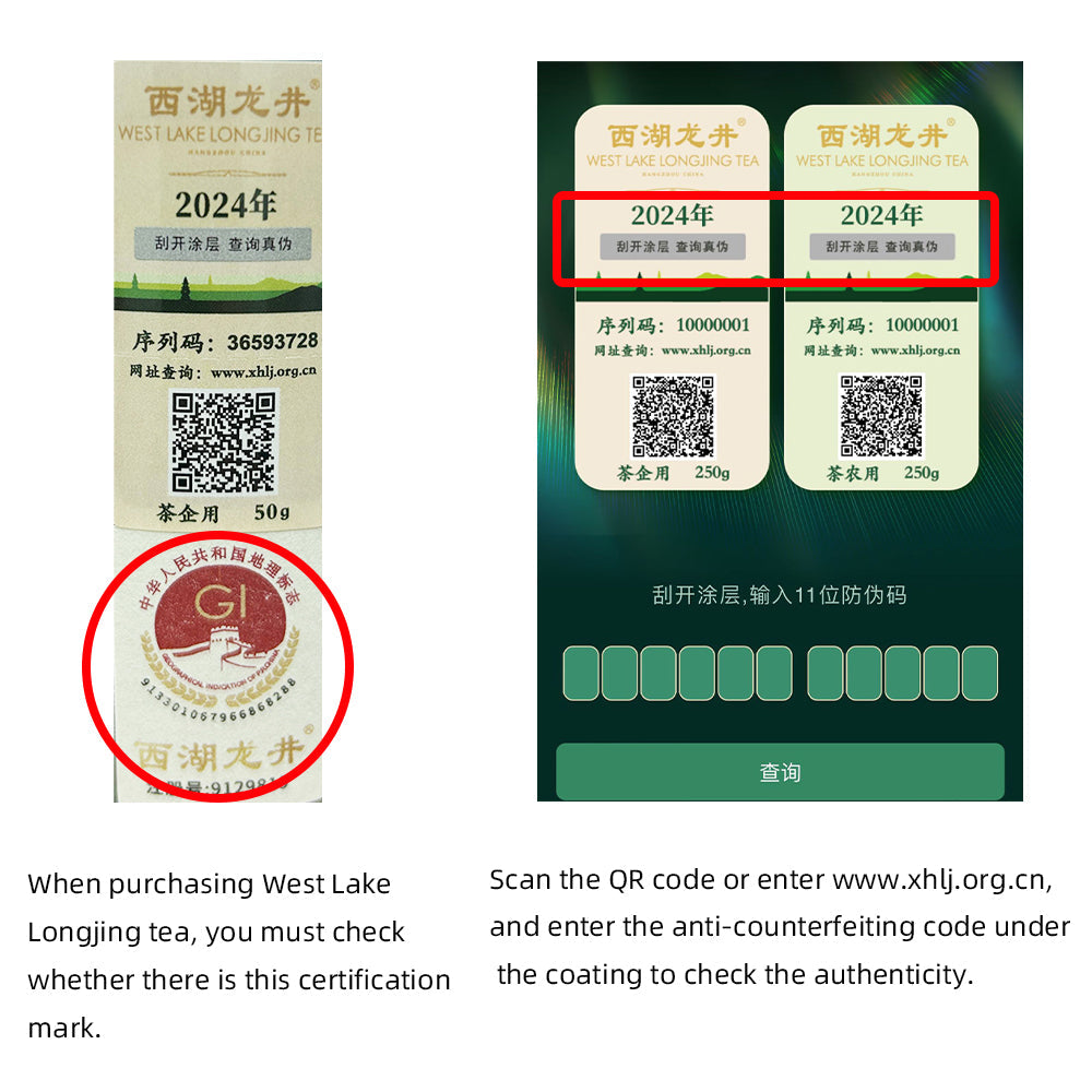 2026 Top Grade West Lake Dragon Well Pre-Qingming Green Tea 50g Tin[GT01]