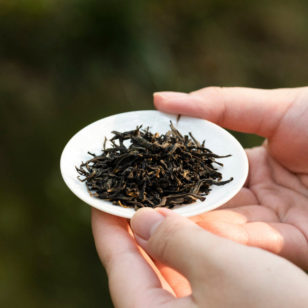 JunMei China Tibet西藏 Snow Mountain Black Tea 75g Tin[JM14]