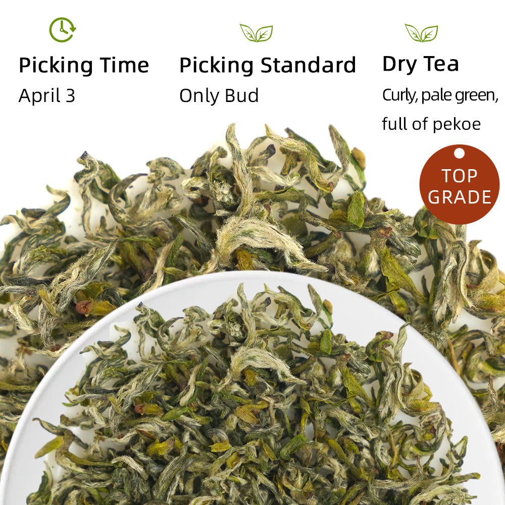 Mengding Ganlu 蒙顶甘露 Green Tea 50g Pouch[GT08]
